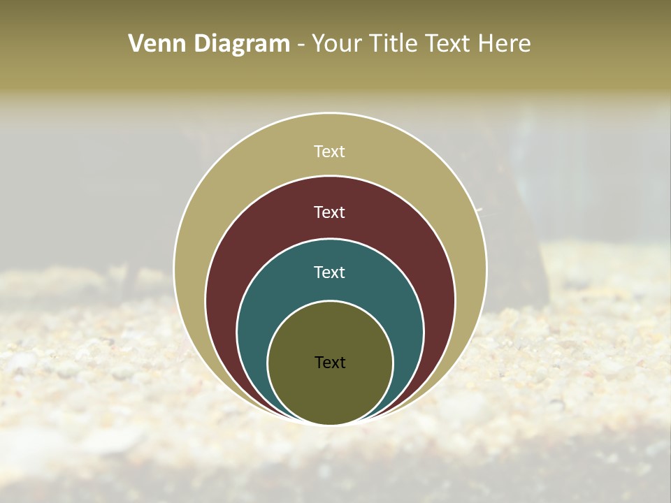 Food Cambarellus Orange PowerPoint Template