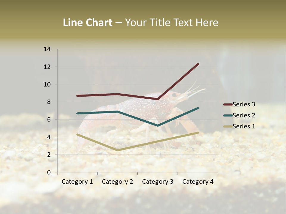 Food Cambarellus Orange PowerPoint Template
