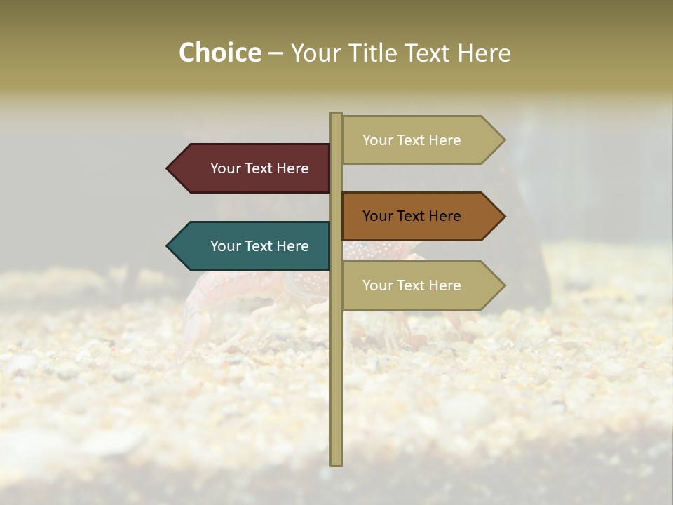 Food Cambarellus Orange PowerPoint Template