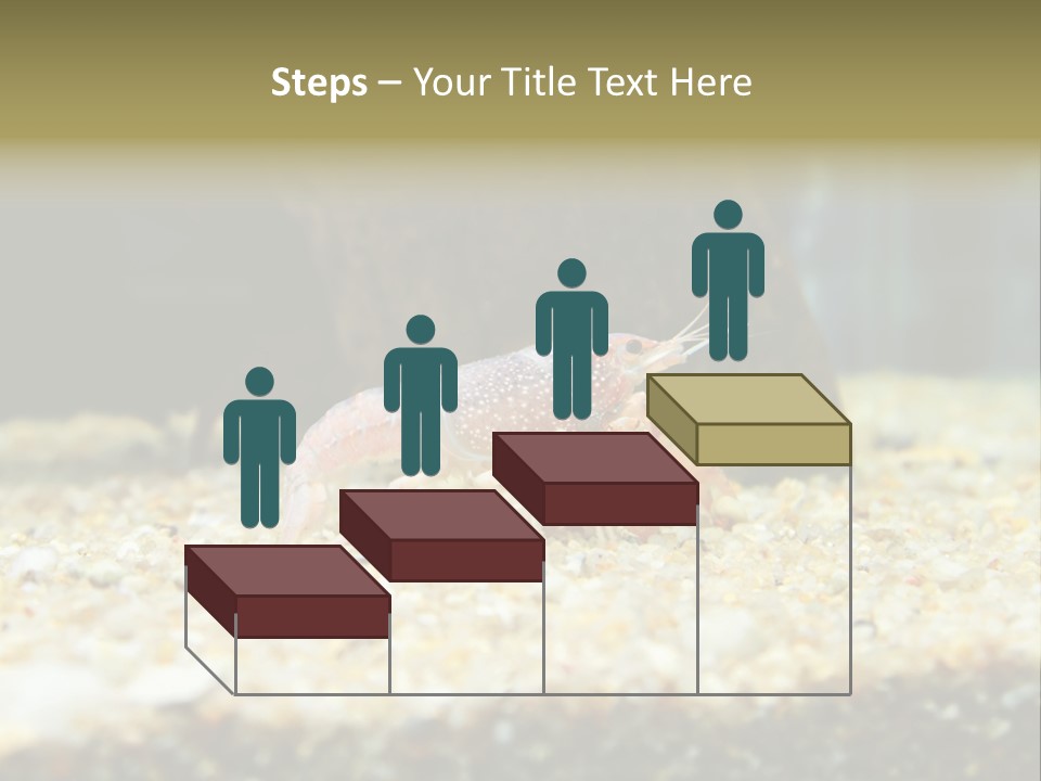 Food Cambarellus Orange PowerPoint Template