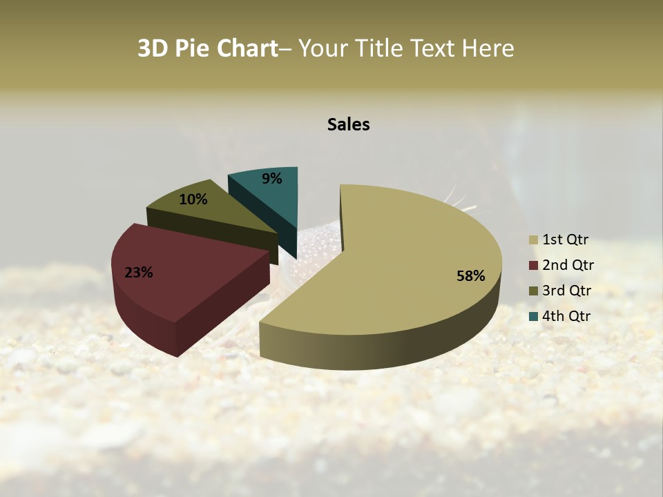 Food Cambarellus Orange PowerPoint Template