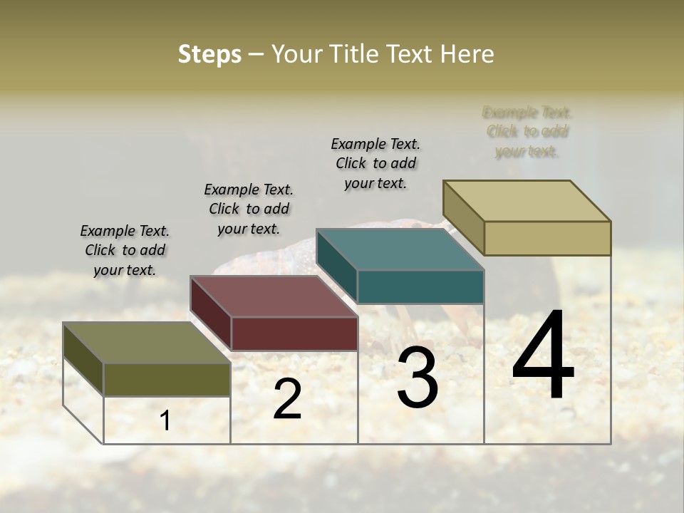 Food Cambarellus Orange PowerPoint Template