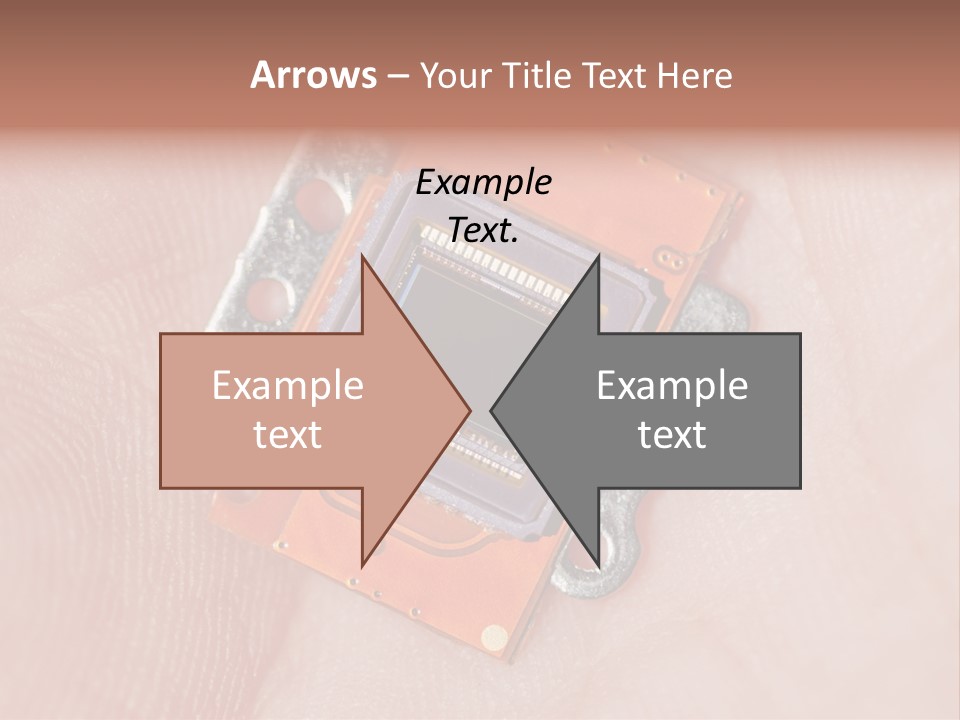 Electronics Silicon Palm PowerPoint Template
