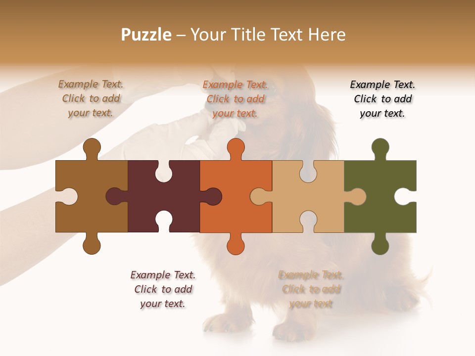 A Dog Getting His Nose Examined By A Veterinator PowerPoint Template