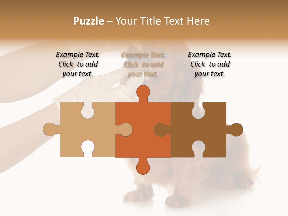 A Dog Getting His Nose Examined By A Veterinator PowerPoint Template