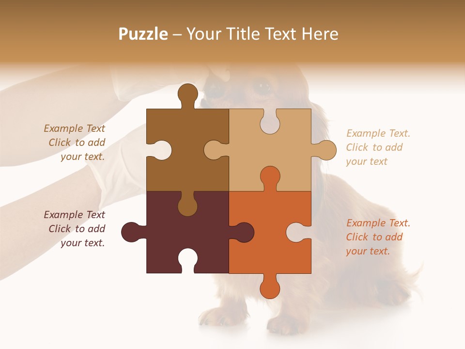 A Dog Getting His Nose Examined By A Veterinator PowerPoint Template