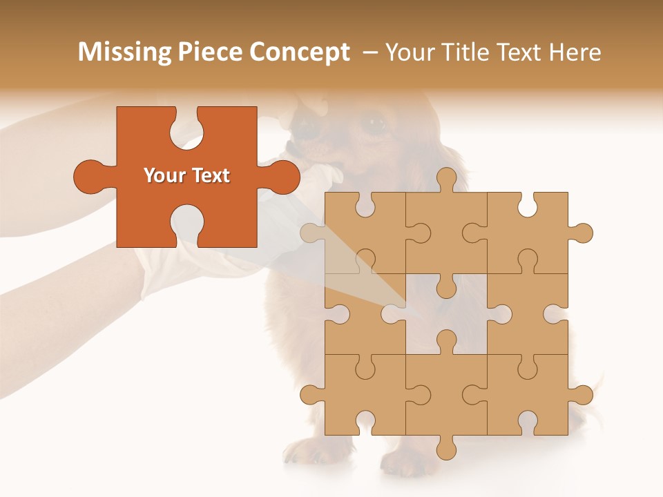 A Dog Getting His Nose Examined By A Veterinator PowerPoint Template