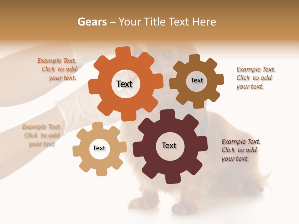 A Dog Getting His Nose Examined By A Veterinator PowerPoint Template