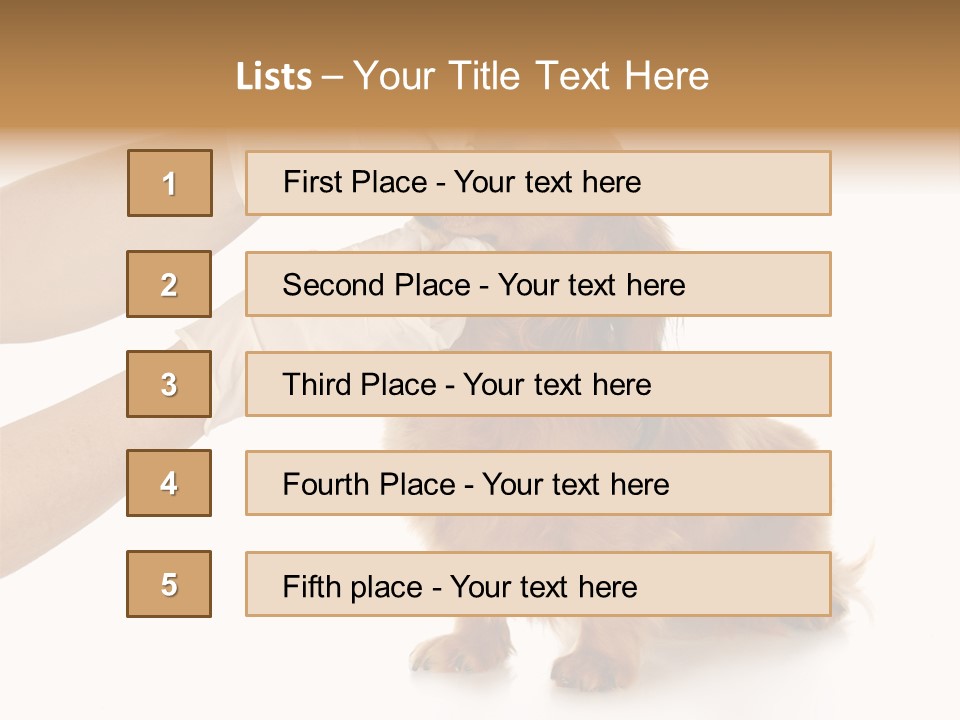 A Dog Getting His Nose Examined By A Veterinator PowerPoint Template