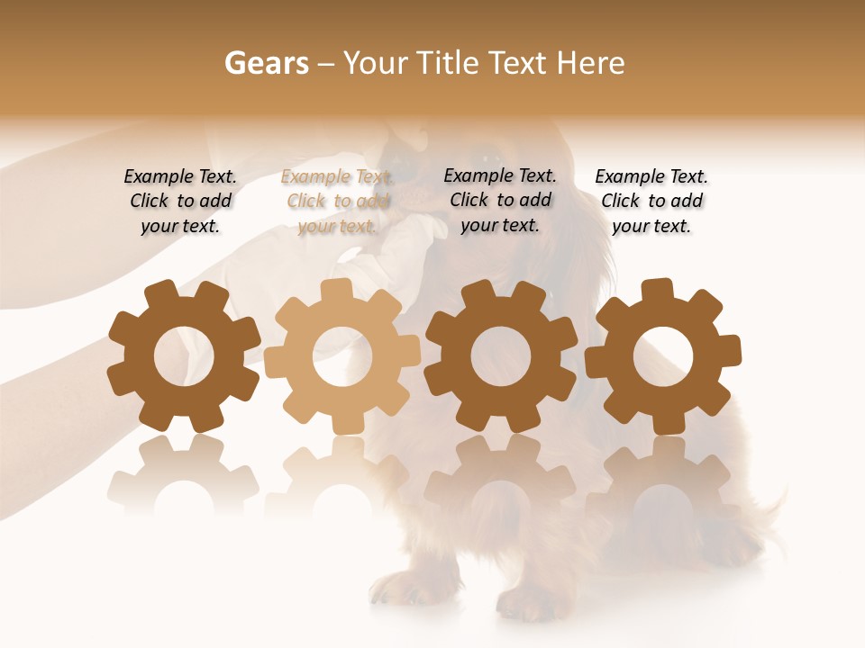 A Dog Getting His Nose Examined By A Veterinator PowerPoint Template