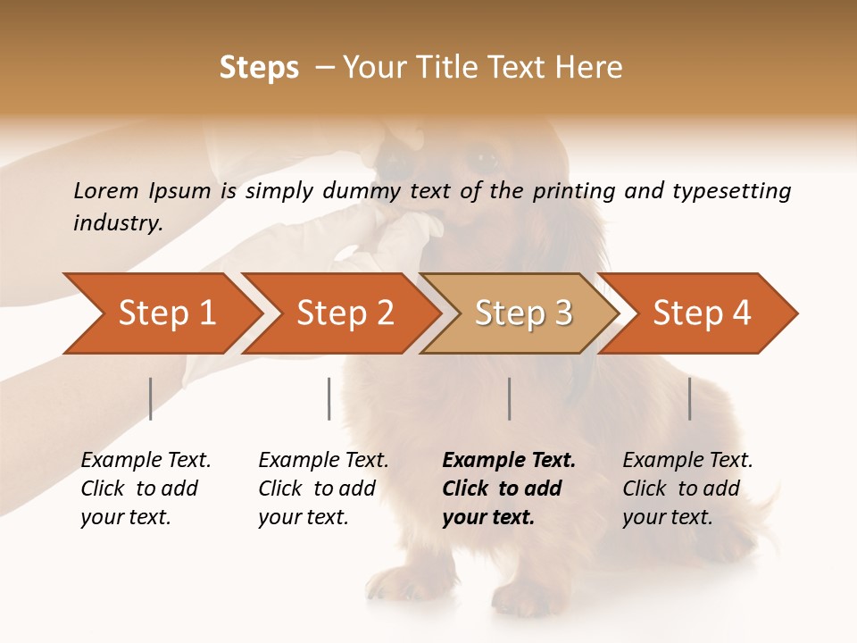 A Dog Getting His Nose Examined By A Veterinator PowerPoint Template