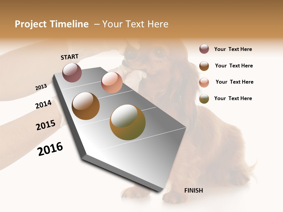 A Dog Getting His Nose Examined By A Veterinator PowerPoint Template