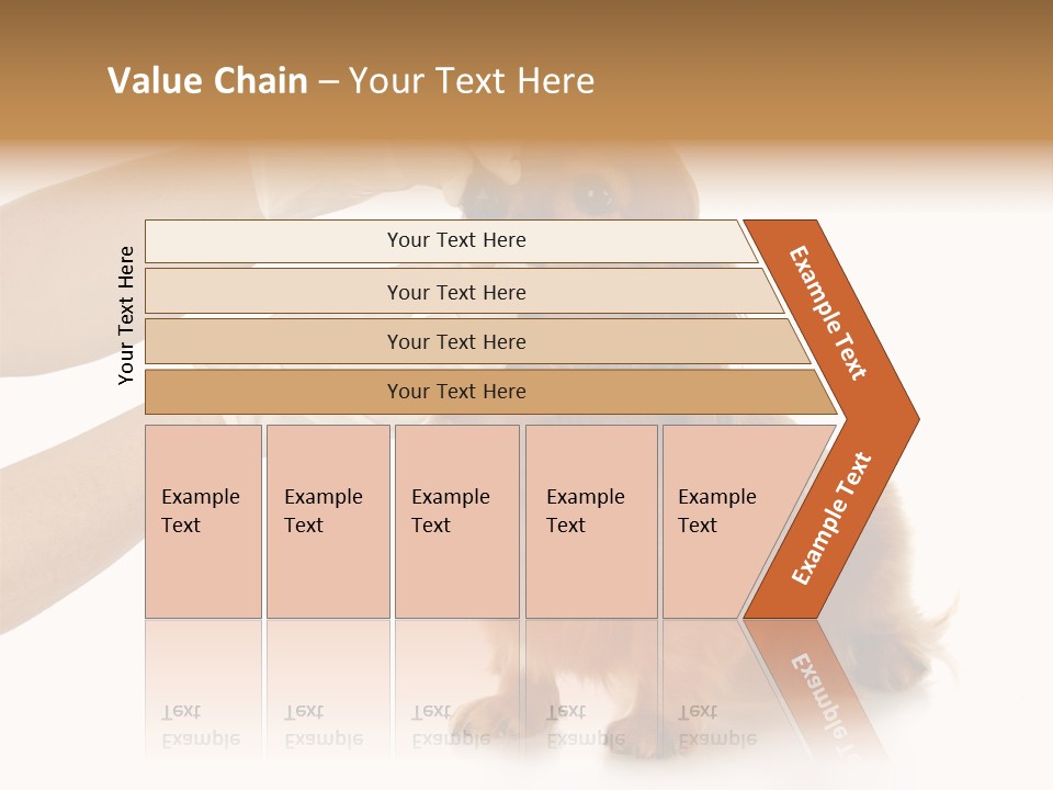 A Dog Getting His Nose Examined By A Veterinator PowerPoint Template