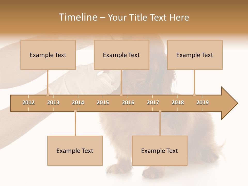 A Dog Getting His Nose Examined By A Veterinator PowerPoint Template