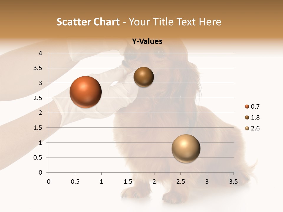 A Dog Getting His Nose Examined By A Veterinator PowerPoint Template