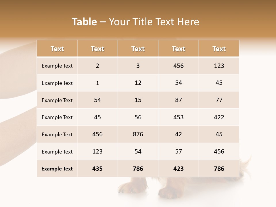 A Dog Getting His Nose Examined By A Veterinator PowerPoint Template