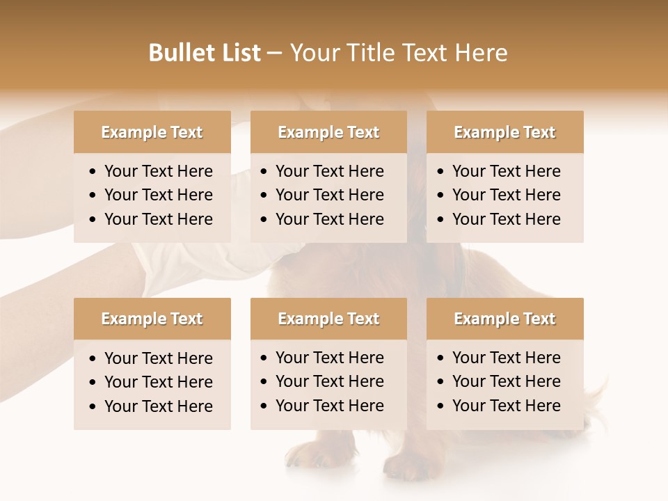 A Dog Getting His Nose Examined By A Veterinator PowerPoint Template