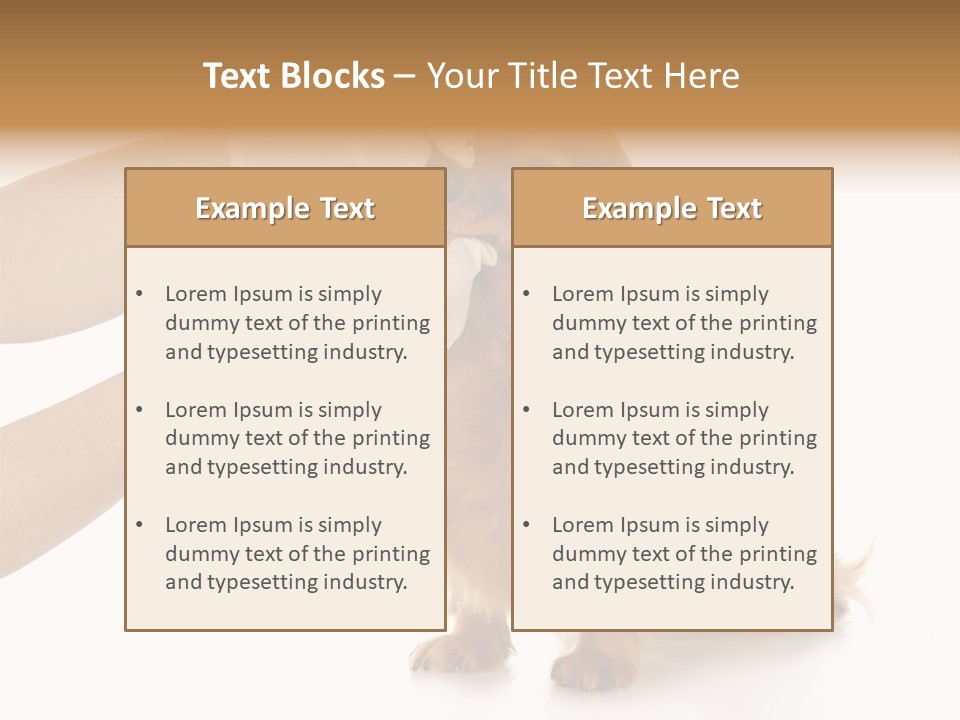A Dog Getting His Nose Examined By A Veterinator PowerPoint Template