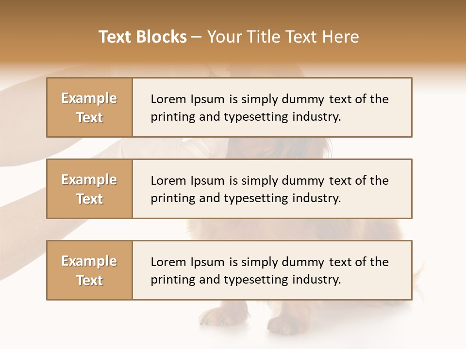 A Dog Getting His Nose Examined By A Veterinator PowerPoint Template