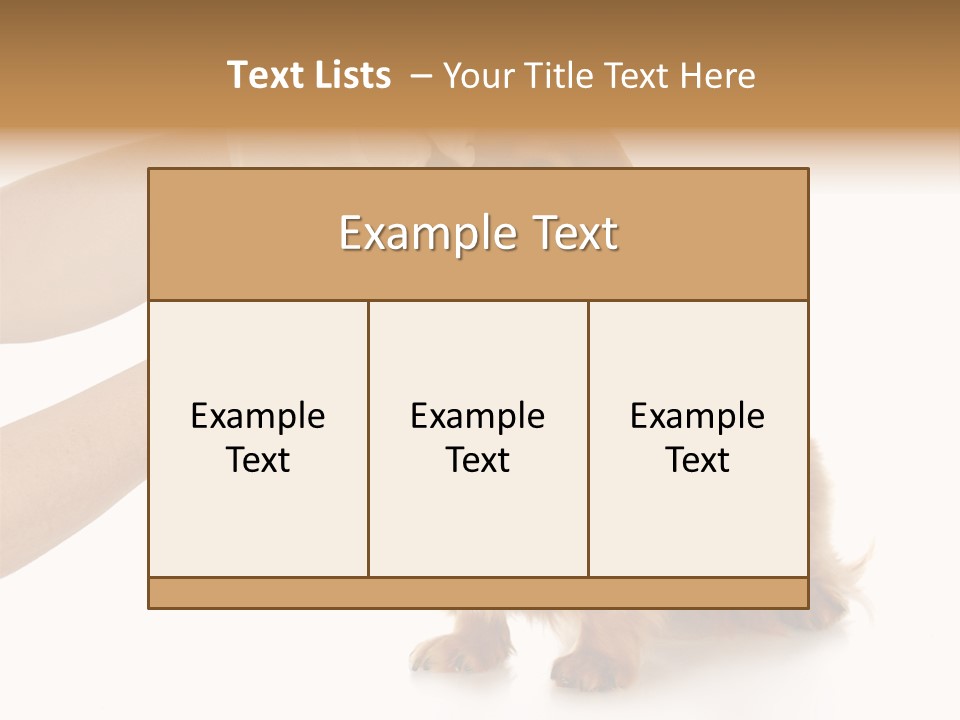A Dog Getting His Nose Examined By A Veterinator PowerPoint Template