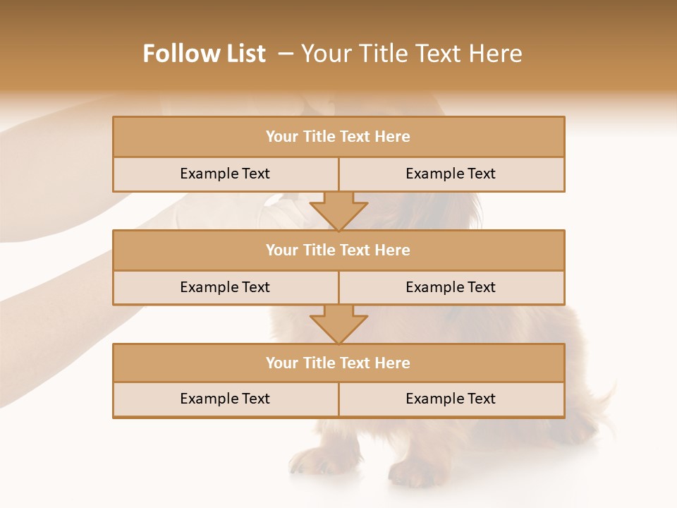 A Dog Getting His Nose Examined By A Veterinator PowerPoint Template