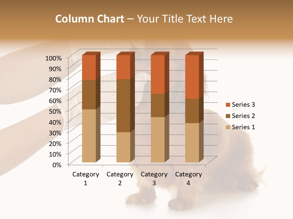 A Dog Getting His Nose Examined By A Veterinator PowerPoint Template