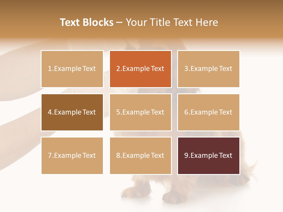 A Dog Getting His Nose Examined By A Veterinator PowerPoint Template