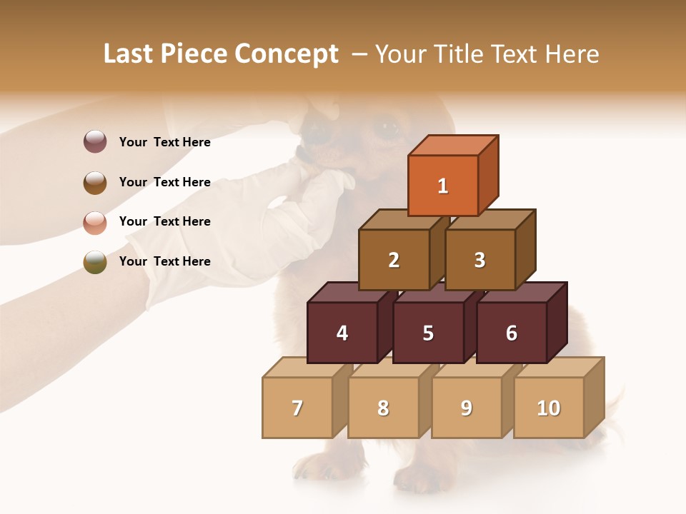 A Dog Getting His Nose Examined By A Veterinator PowerPoint Template
