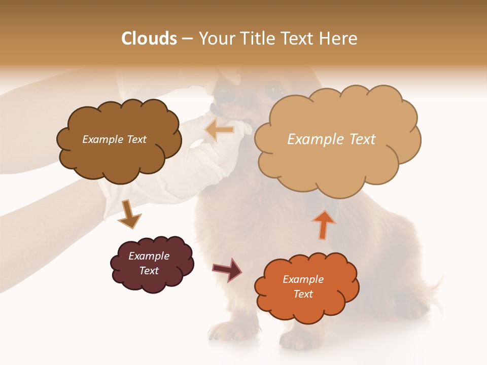 A Dog Getting His Nose Examined By A Veterinator PowerPoint Template