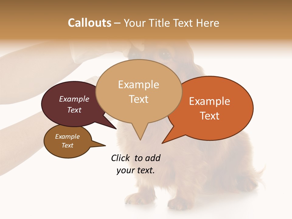 A Dog Getting His Nose Examined By A Veterinator PowerPoint Template
