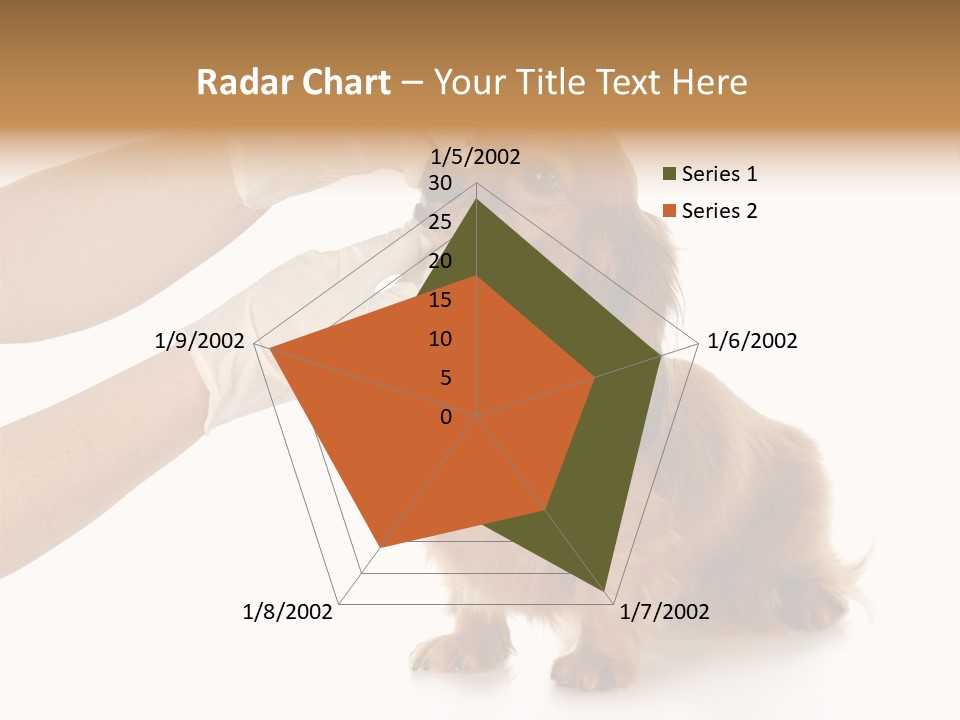 A Dog Getting His Nose Examined By A Veterinator PowerPoint Template