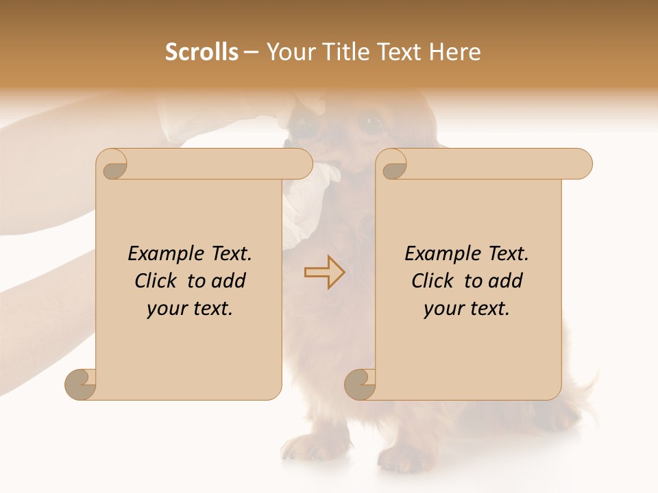 A Dog Getting His Nose Examined By A Veterinator PowerPoint Template