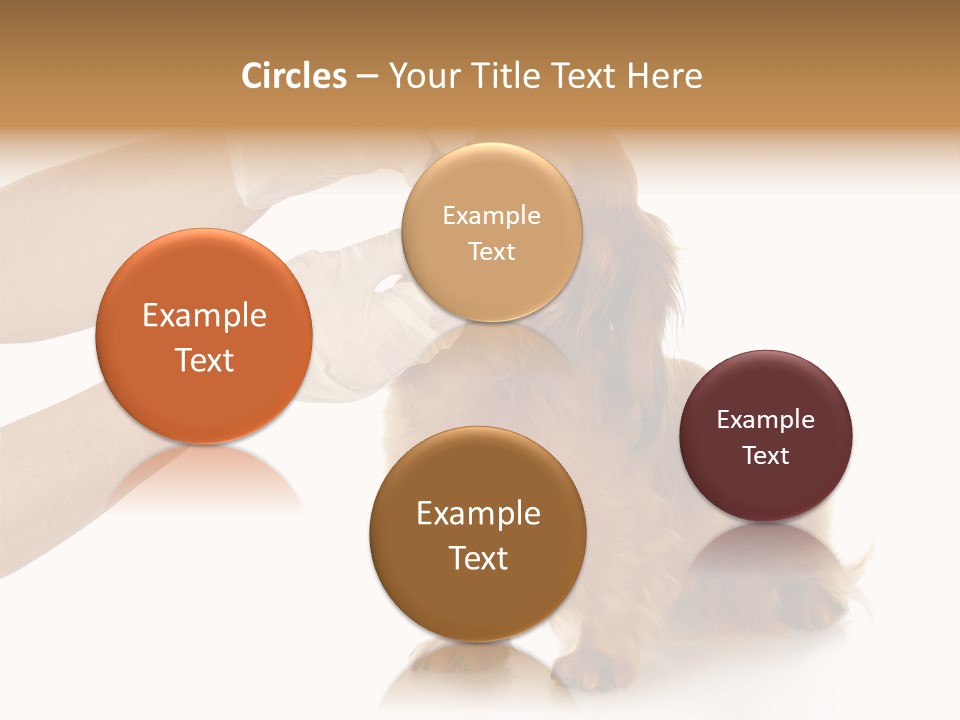 A Dog Getting His Nose Examined By A Veterinator PowerPoint Template