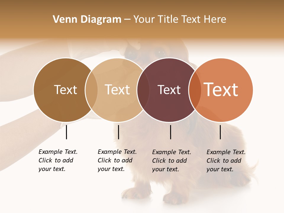 A Dog Getting His Nose Examined By A Veterinator PowerPoint Template