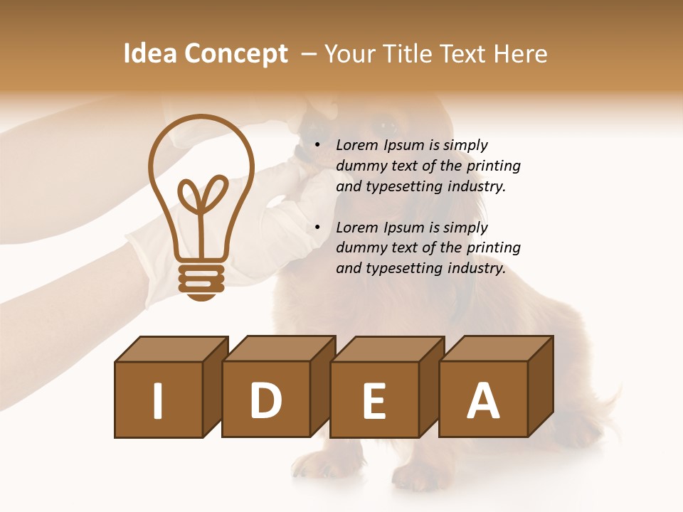 A Dog Getting His Nose Examined By A Veterinator PowerPoint Template