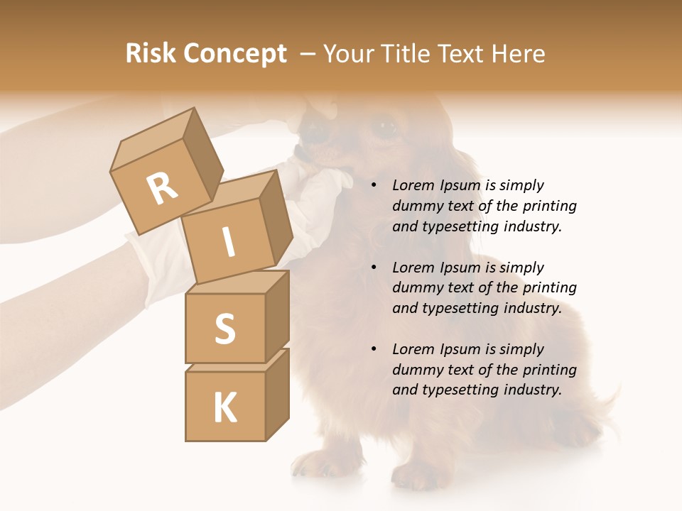 A Dog Getting His Nose Examined By A Veterinator PowerPoint Template