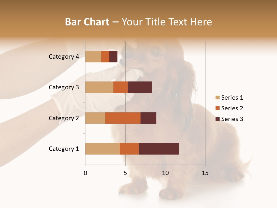 A Dog Getting His Nose Examined By A Veterinator PowerPoint Template