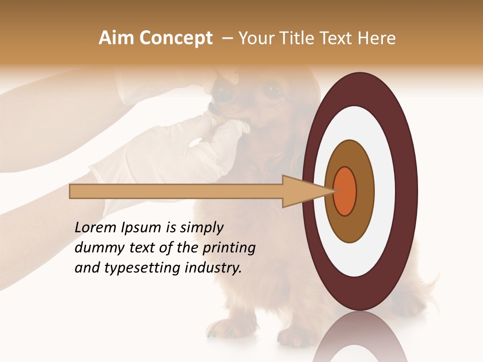 A Dog Getting His Nose Examined By A Veterinator PowerPoint Template