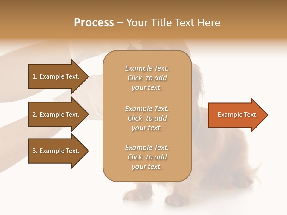 A Dog Getting His Nose Examined By A Veterinator PowerPoint Template