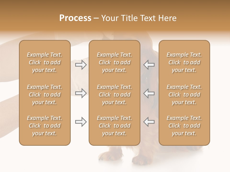 A Dog Getting His Nose Examined By A Veterinator PowerPoint Template