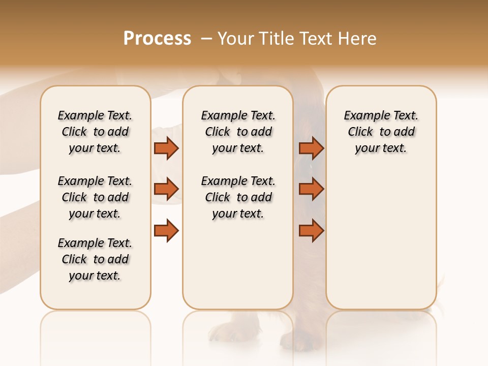 A Dog Getting His Nose Examined By A Veterinator PowerPoint Template