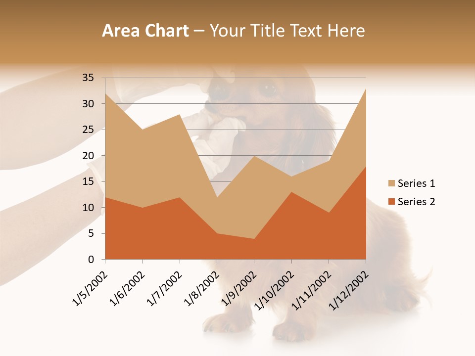 A Dog Getting His Nose Examined By A Veterinator PowerPoint Template