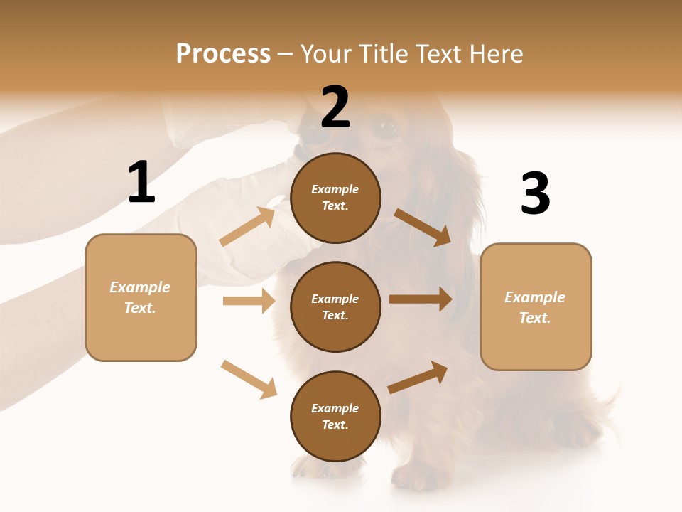 A Dog Getting His Nose Examined By A Veterinator PowerPoint Template
