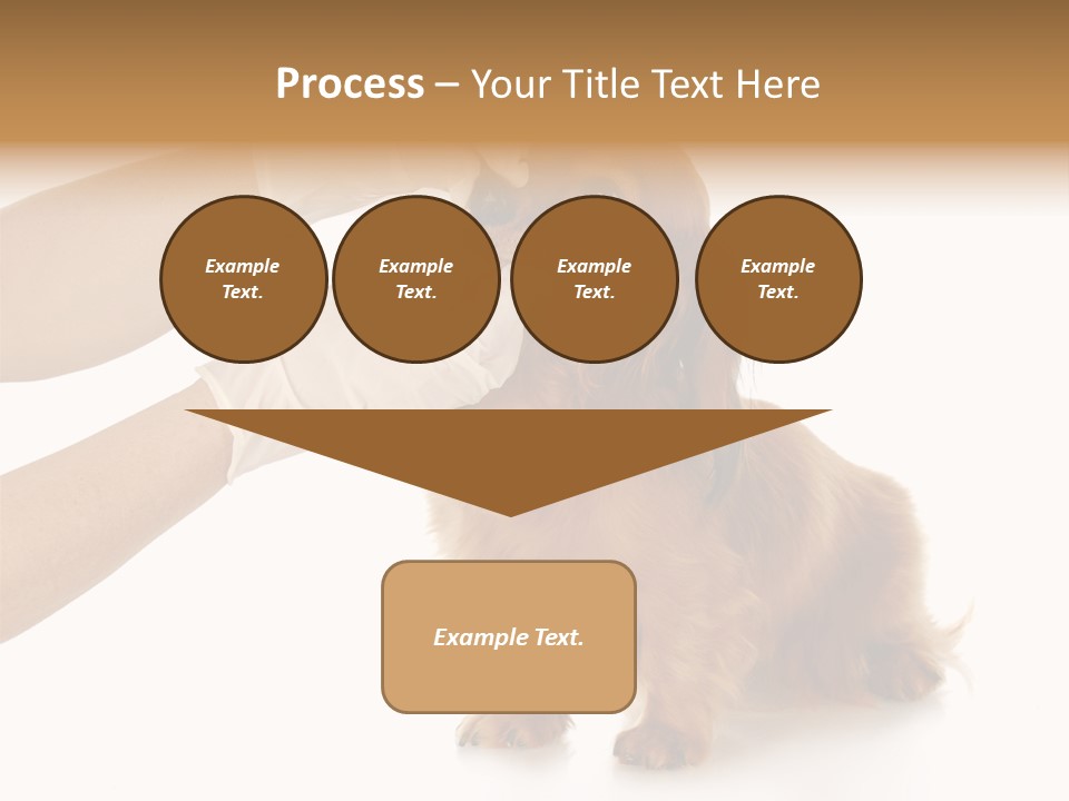 A Dog Getting His Nose Examined By A Veterinator PowerPoint Template