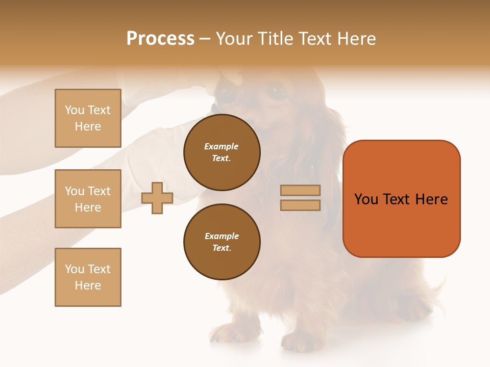 A Dog Getting His Nose Examined By A Veterinator PowerPoint Template
