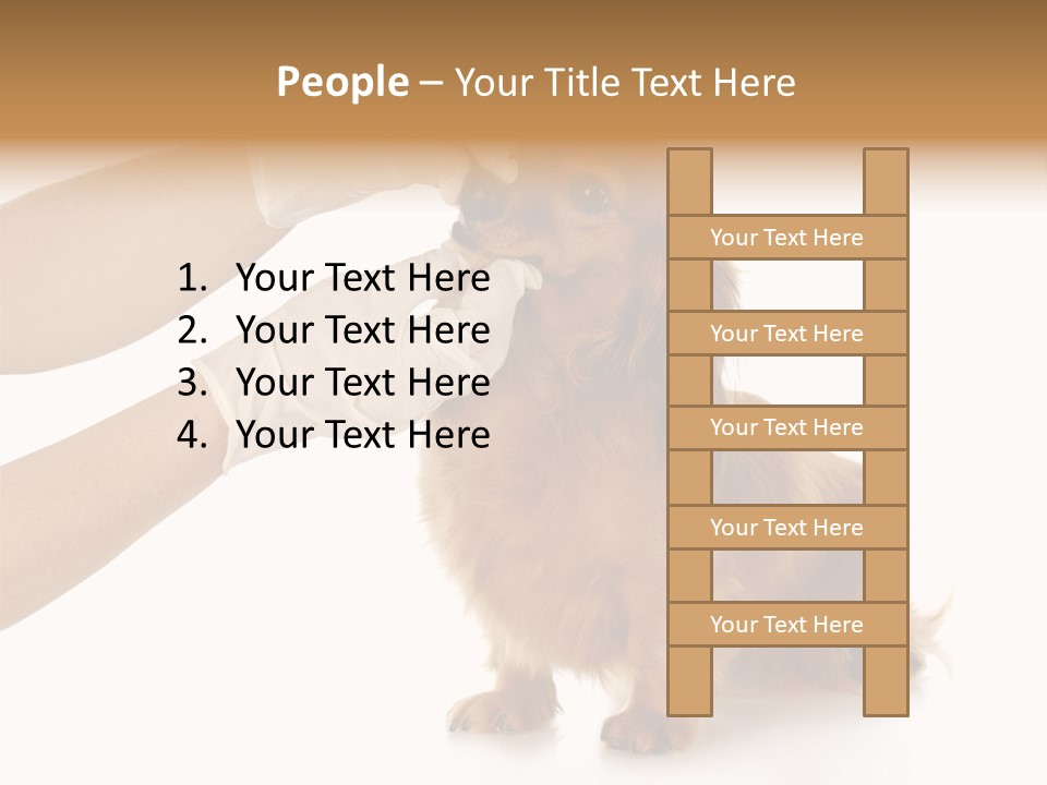 A Dog Getting His Nose Examined By A Veterinator PowerPoint Template