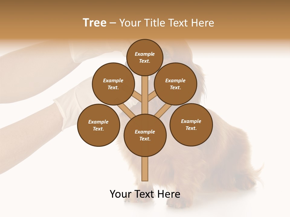 A Dog Getting His Nose Examined By A Veterinator PowerPoint Template