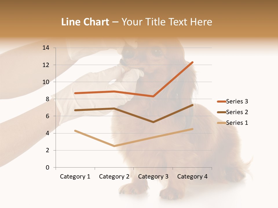A Dog Getting His Nose Examined By A Veterinator PowerPoint Template