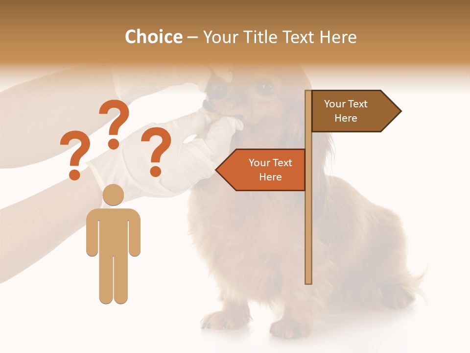 A Dog Getting His Nose Examined By A Veterinator PowerPoint Template