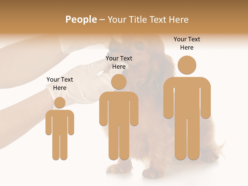 A Dog Getting His Nose Examined By A Veterinator PowerPoint Template